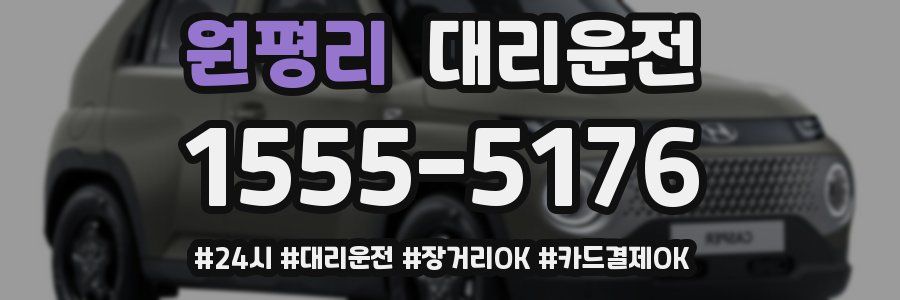 원평리 대리운전