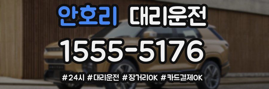 안호리 대리운전