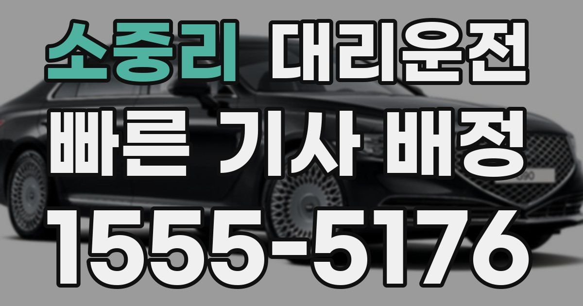 일일대리기사