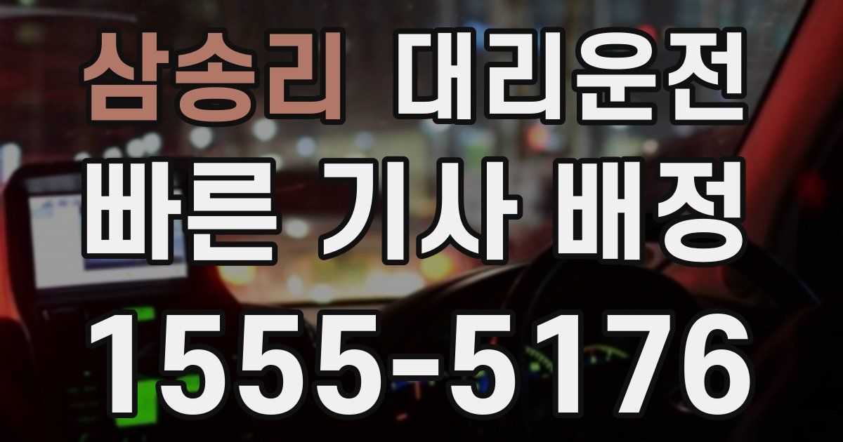 일일대리기사