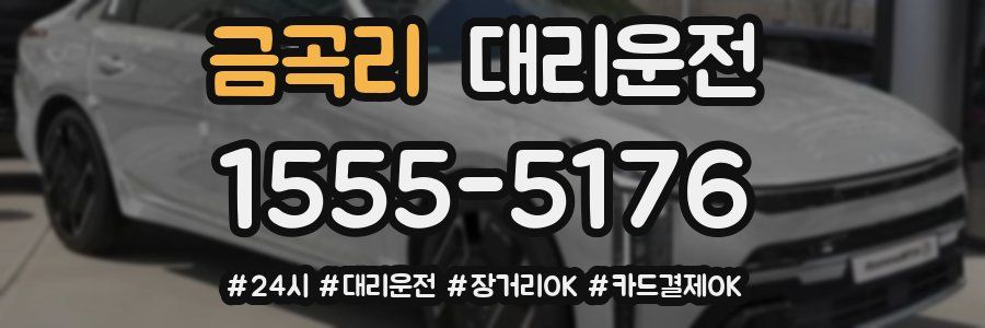 금곡리 대리운전