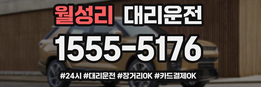 월성리 대리운전