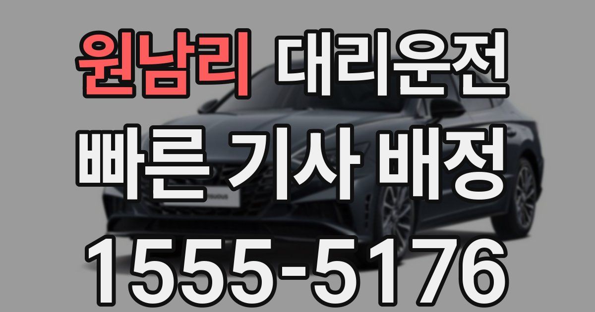 일일대리기사