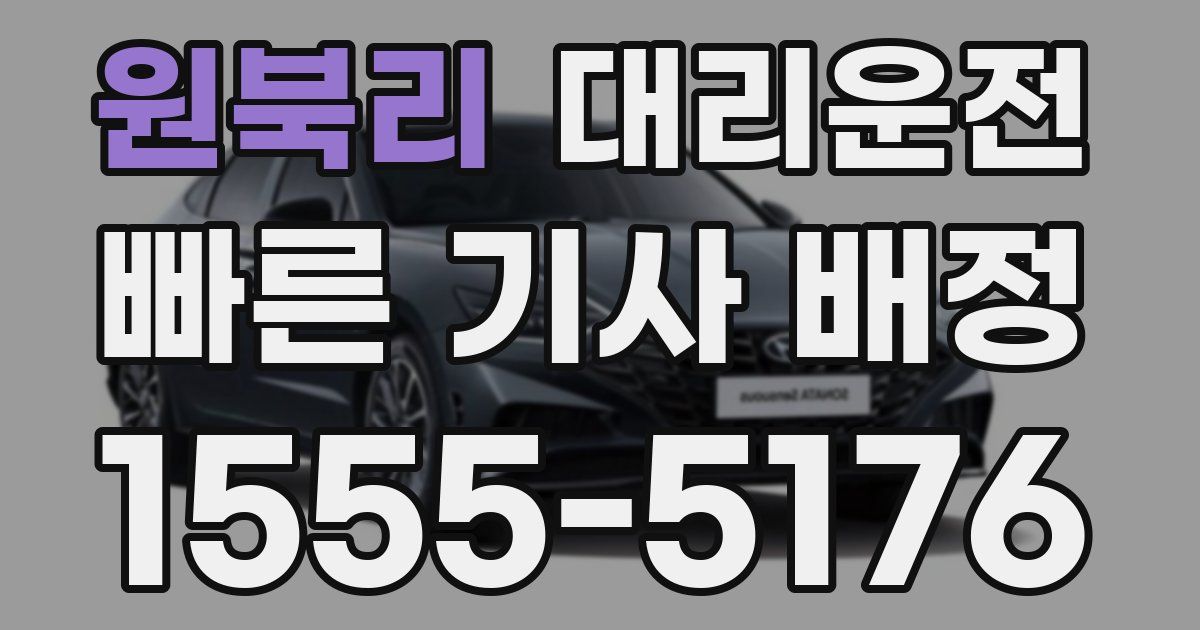 일일대리기사