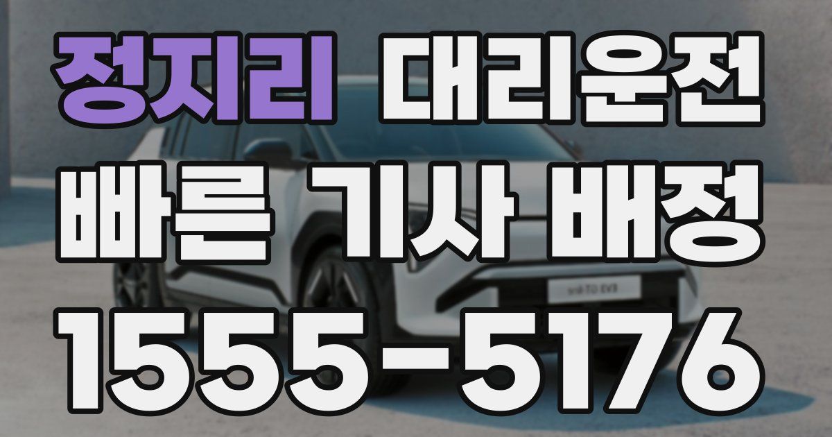 일일대리기사