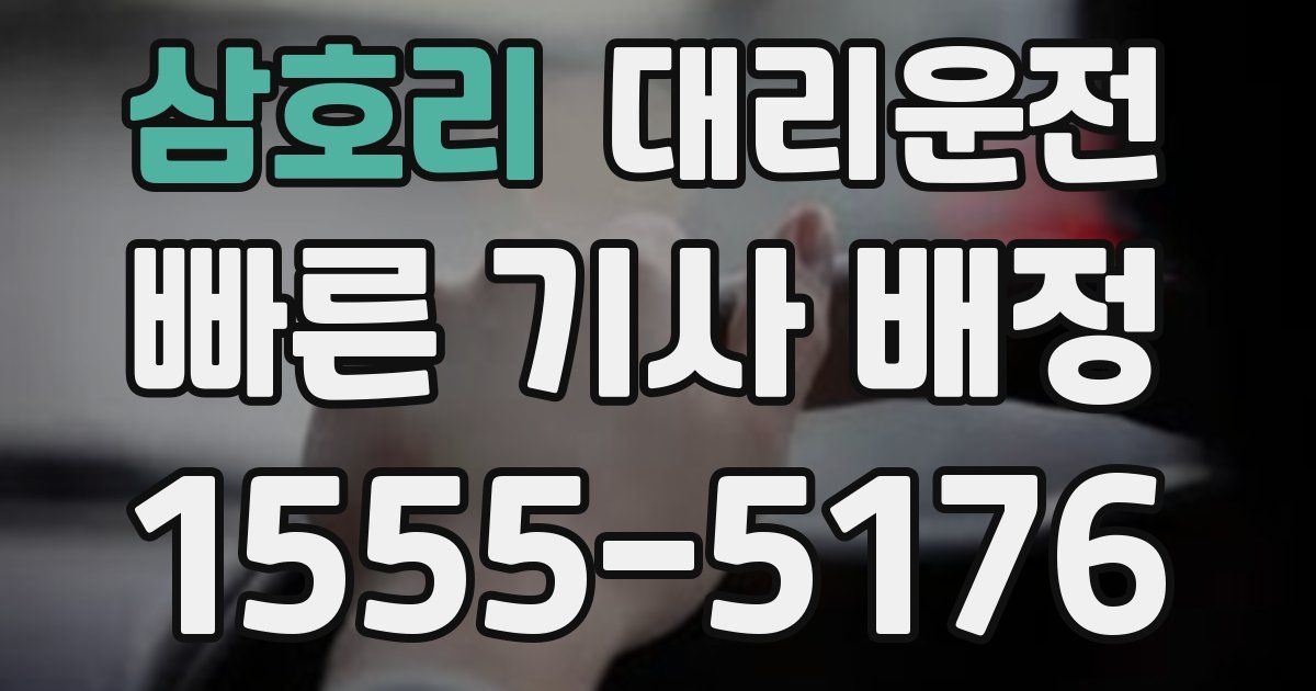 일일대리기사