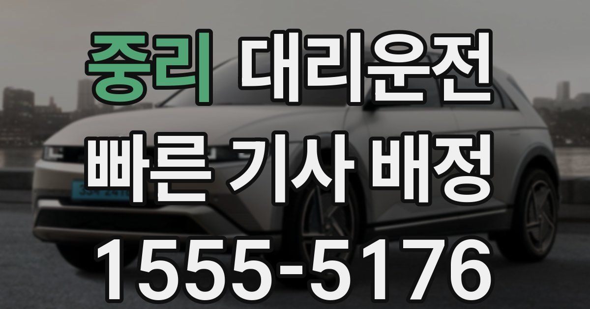 일일대리기사
