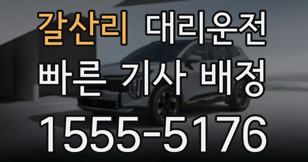 일일대리기사