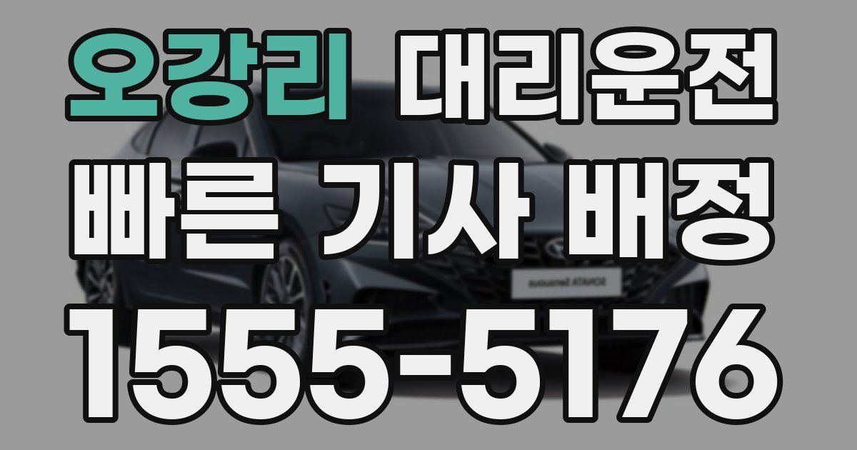 일일대리기사