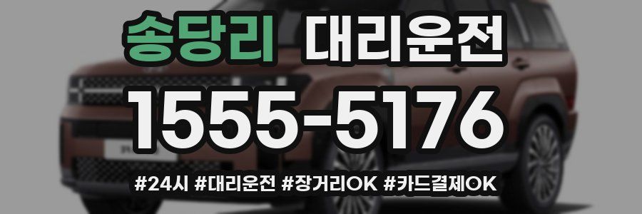 송당리 대리운전