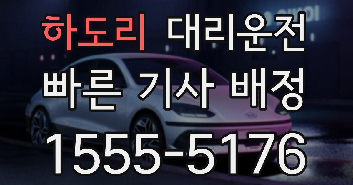 일일대리기사