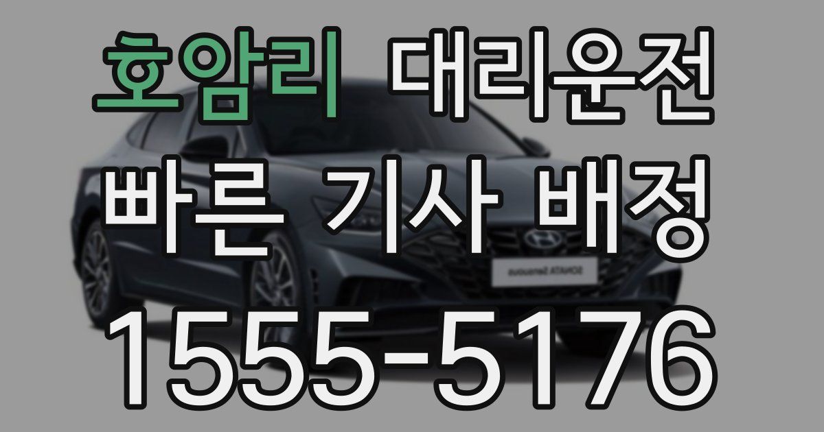 일일대리기사