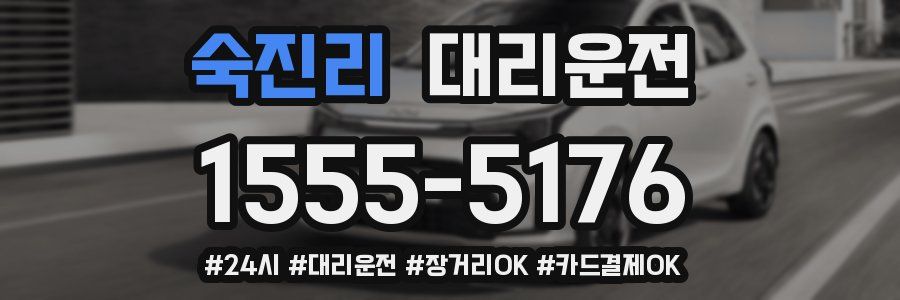 숙진리 대리운전