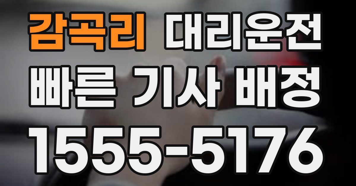 일일대리기사