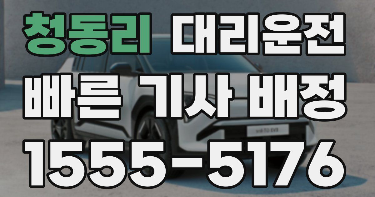 일일대리기사