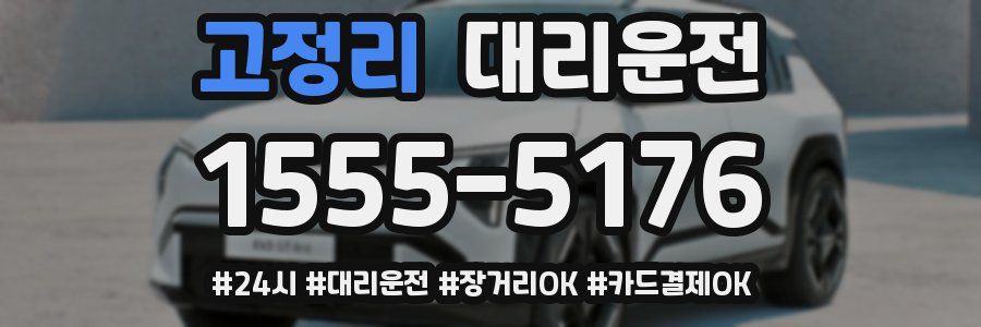 고정리 대리운전