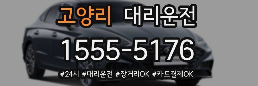 고양리 대리운전