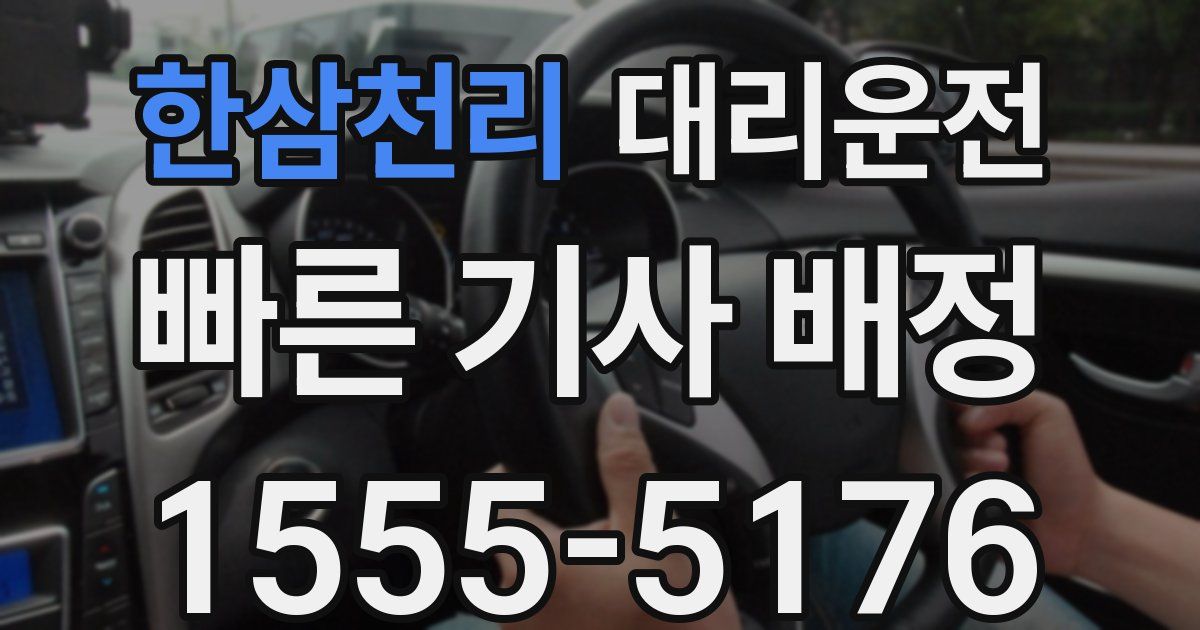 일일대리기사