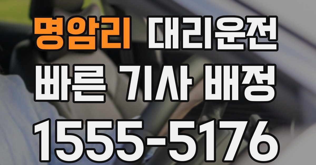 일일대리기사