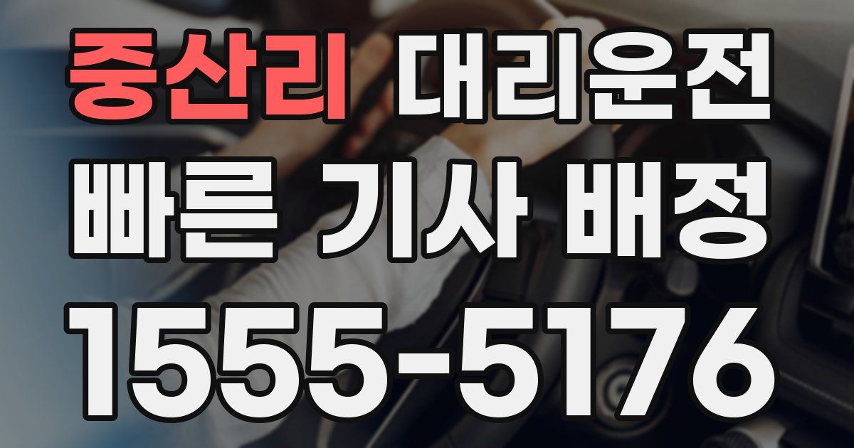 일일대리기사