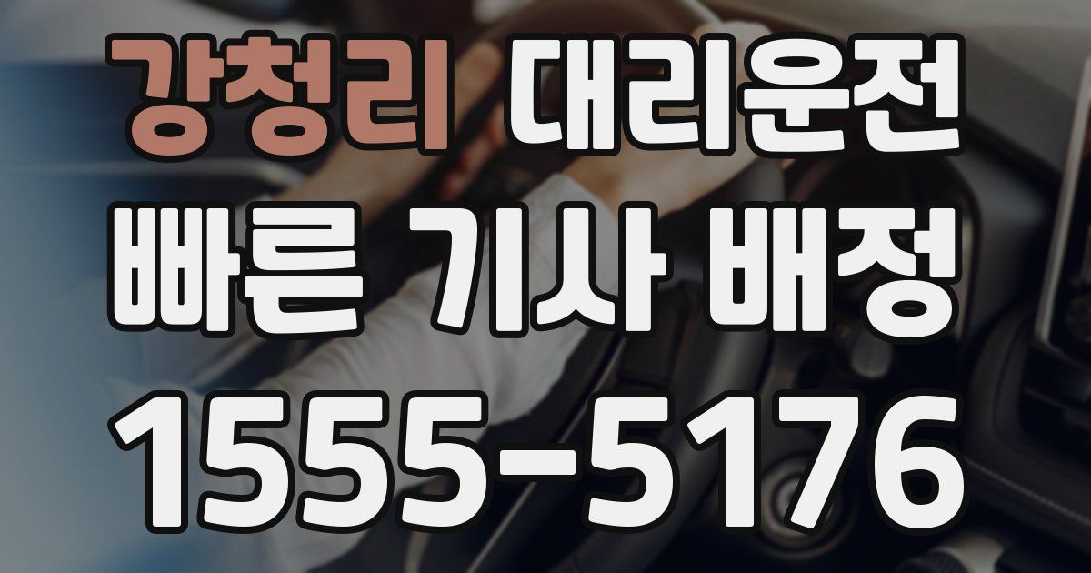 일일대리기사