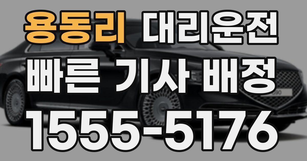 일일대리기사