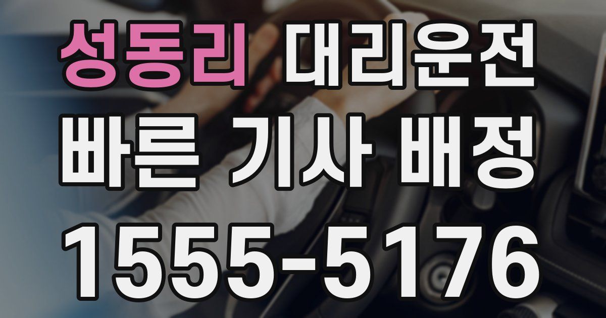 일일대리기사
