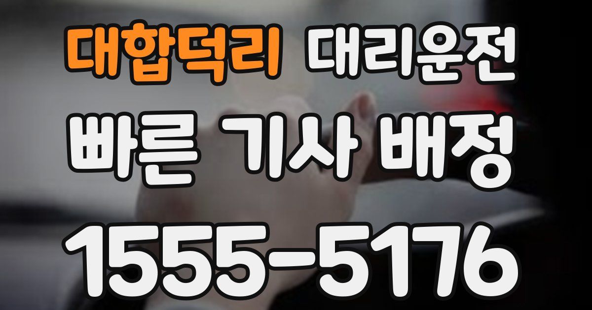 일일대리기사