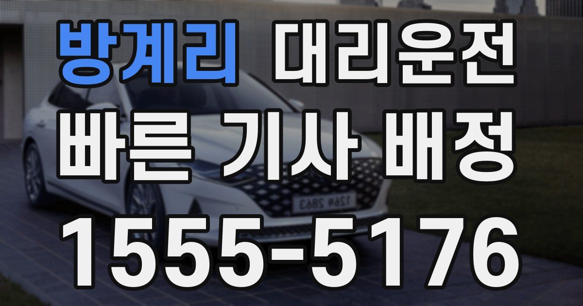 일일대리기사
