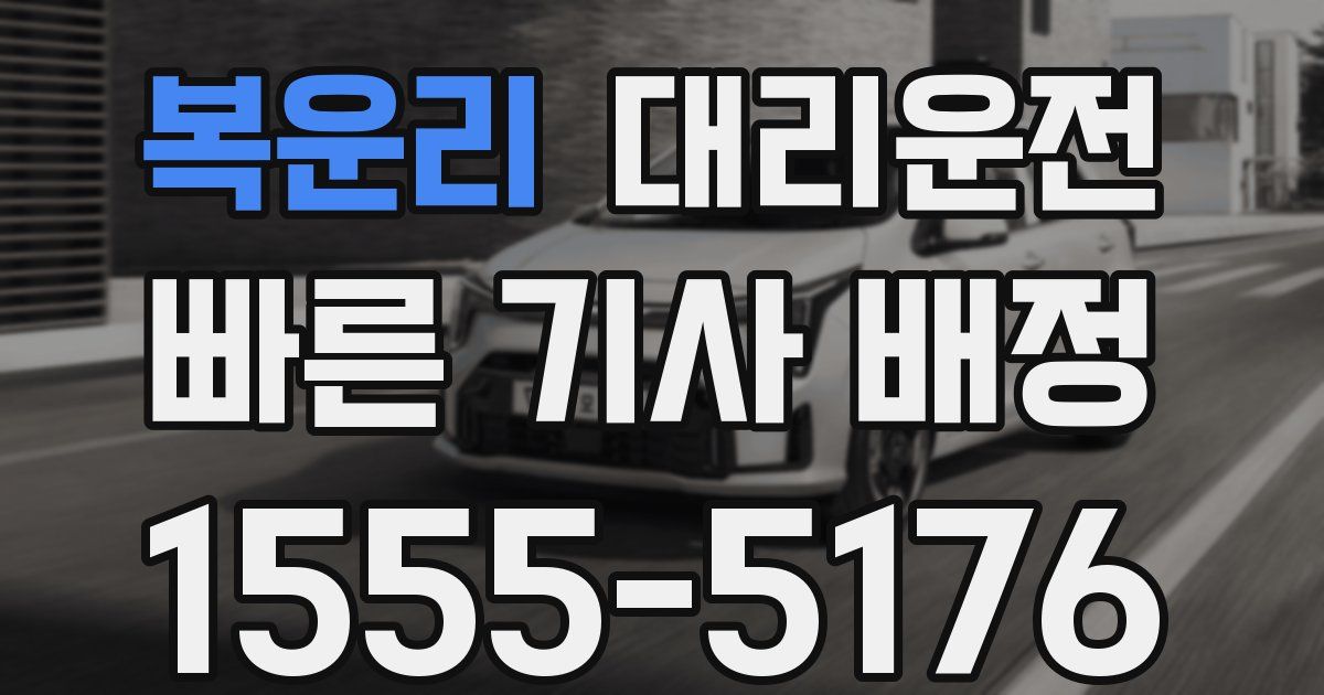일일대리기사
