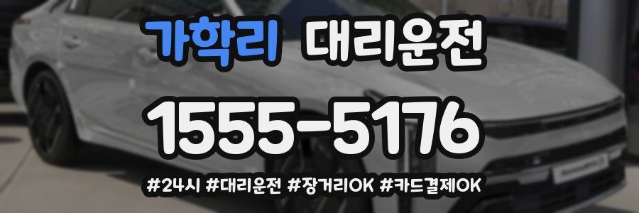 가학리 대리운전