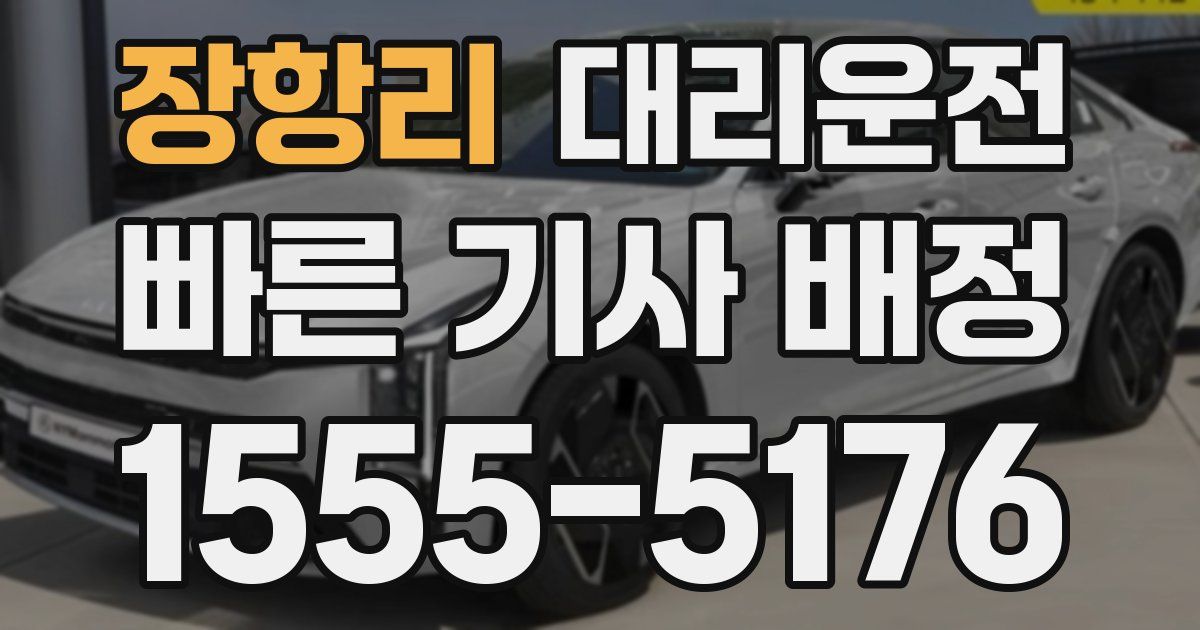 일일대리기사