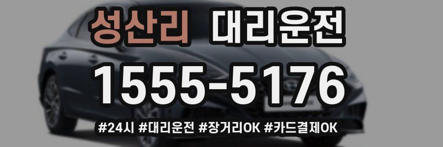 성산리 대리운전