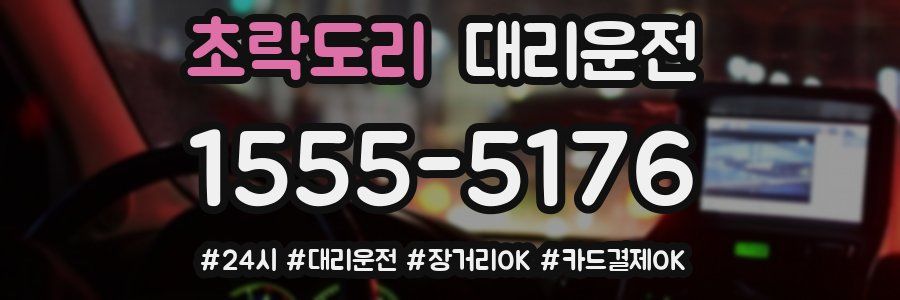 초락도리 대리운전