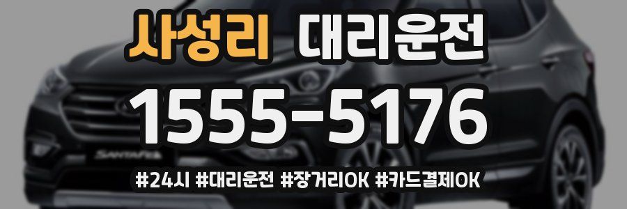 사성리 대리운전