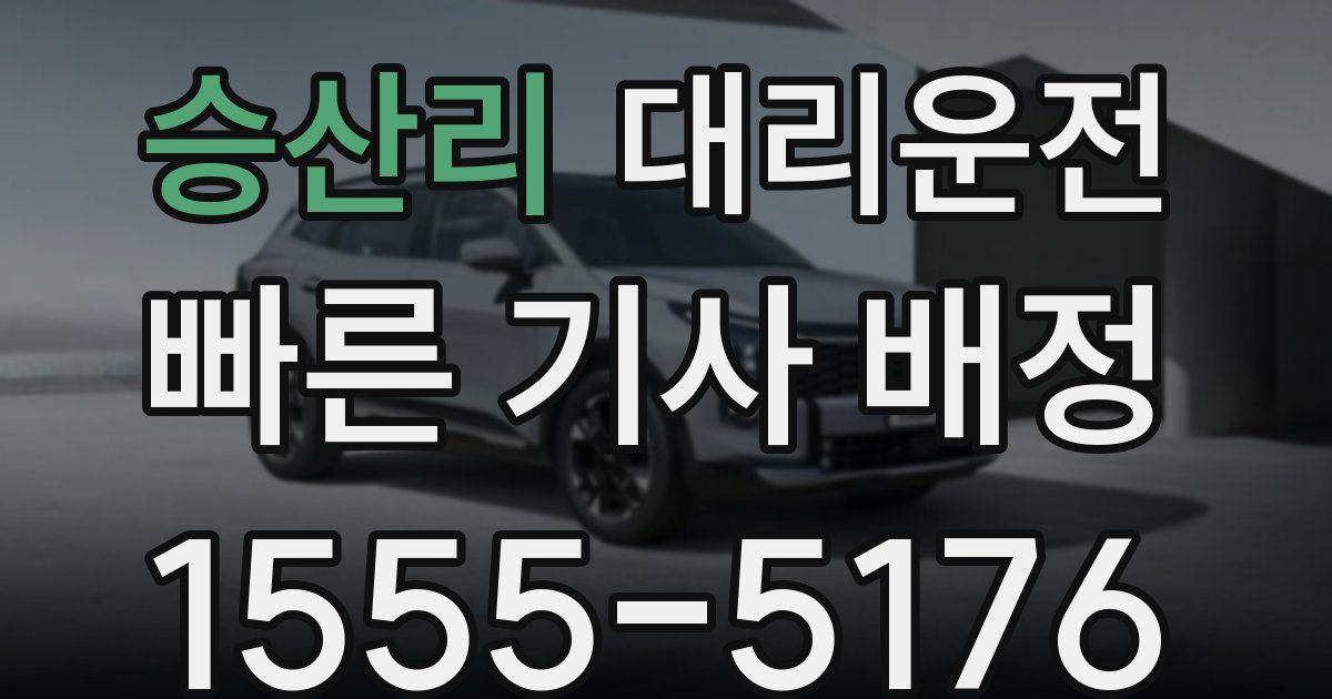 일일대리기사