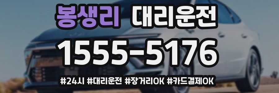 봉생리 대리운전