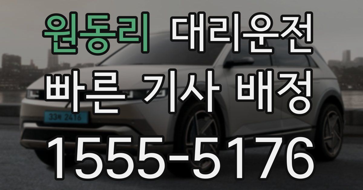 일일대리기사