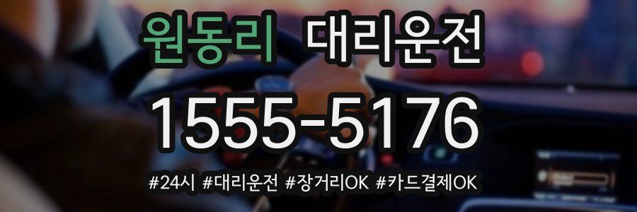원동리 대리운전