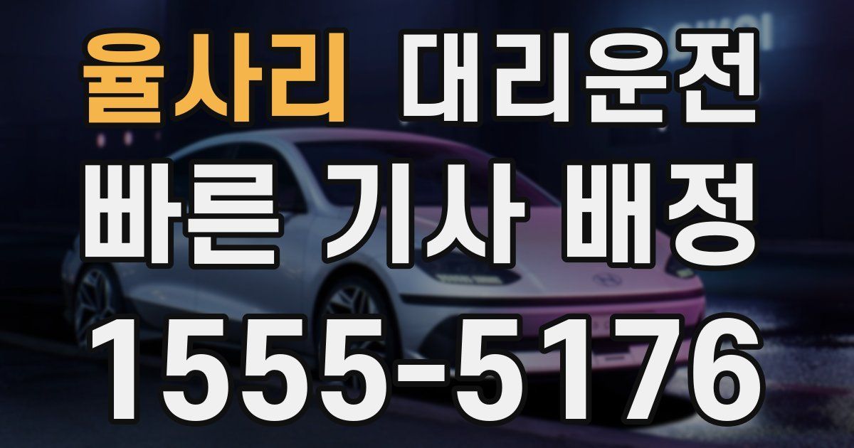 일일대리기사