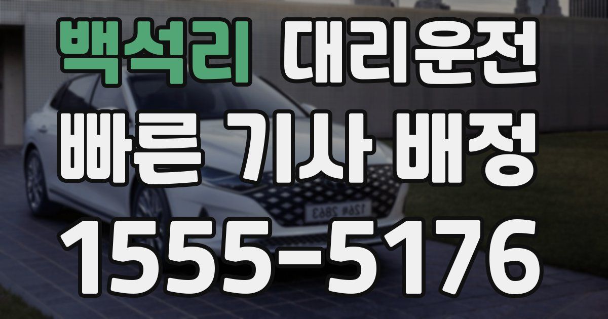 일일대리기사