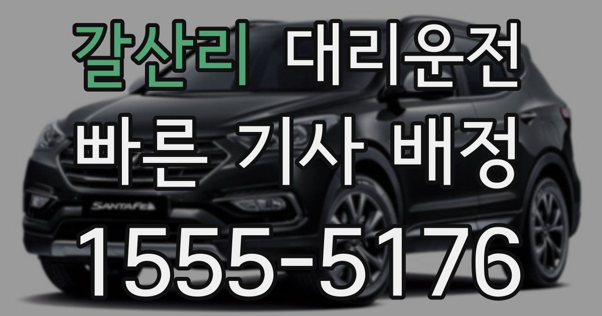 일일대리기사