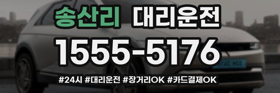 송산리 대리운전