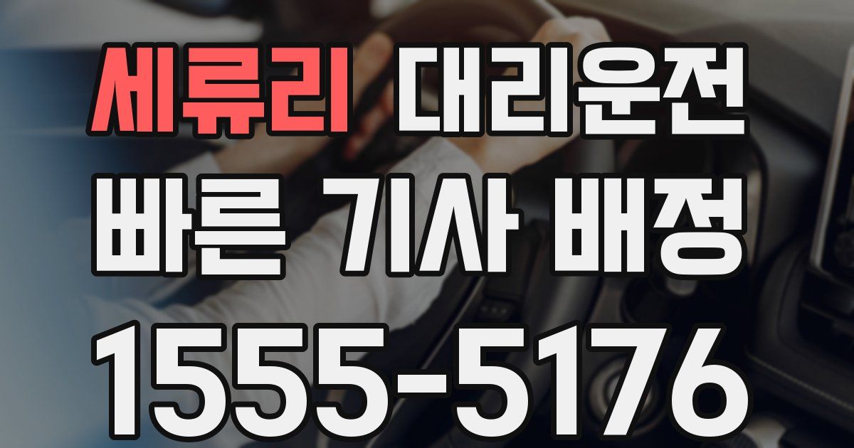 일일대리기사