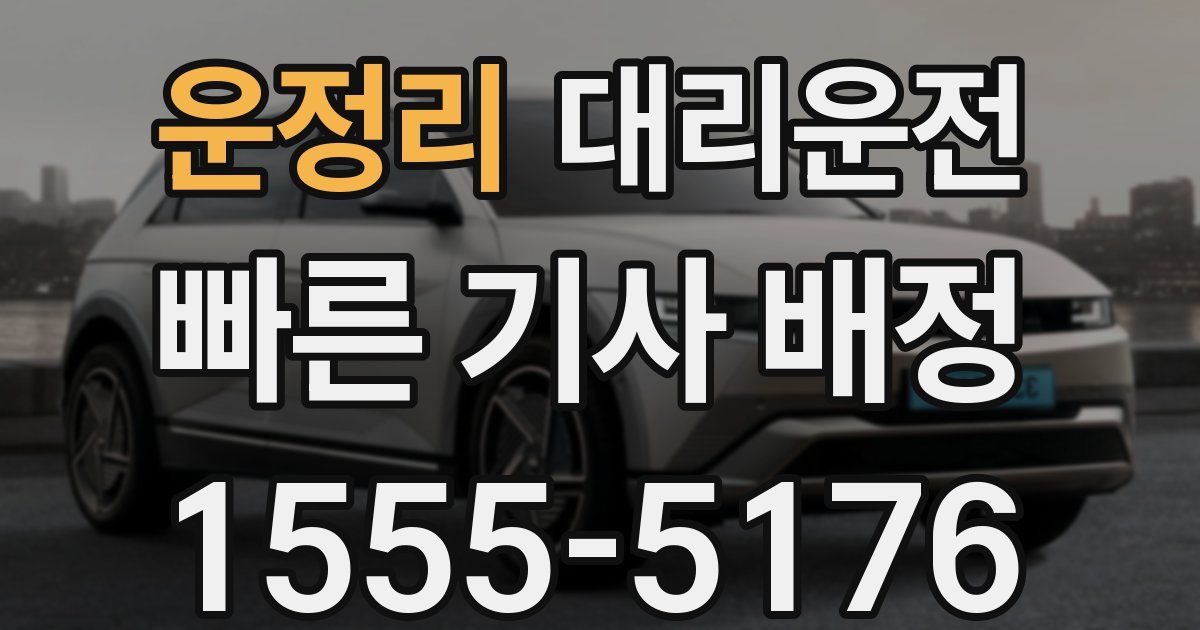 일일대리기사