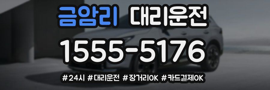 금암리 대리운전