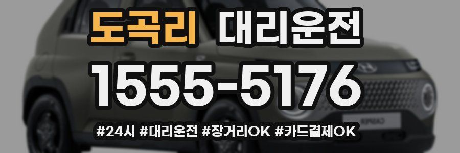 도곡리 대리운전