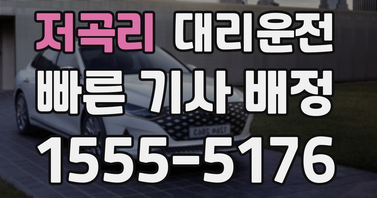 일일대리기사