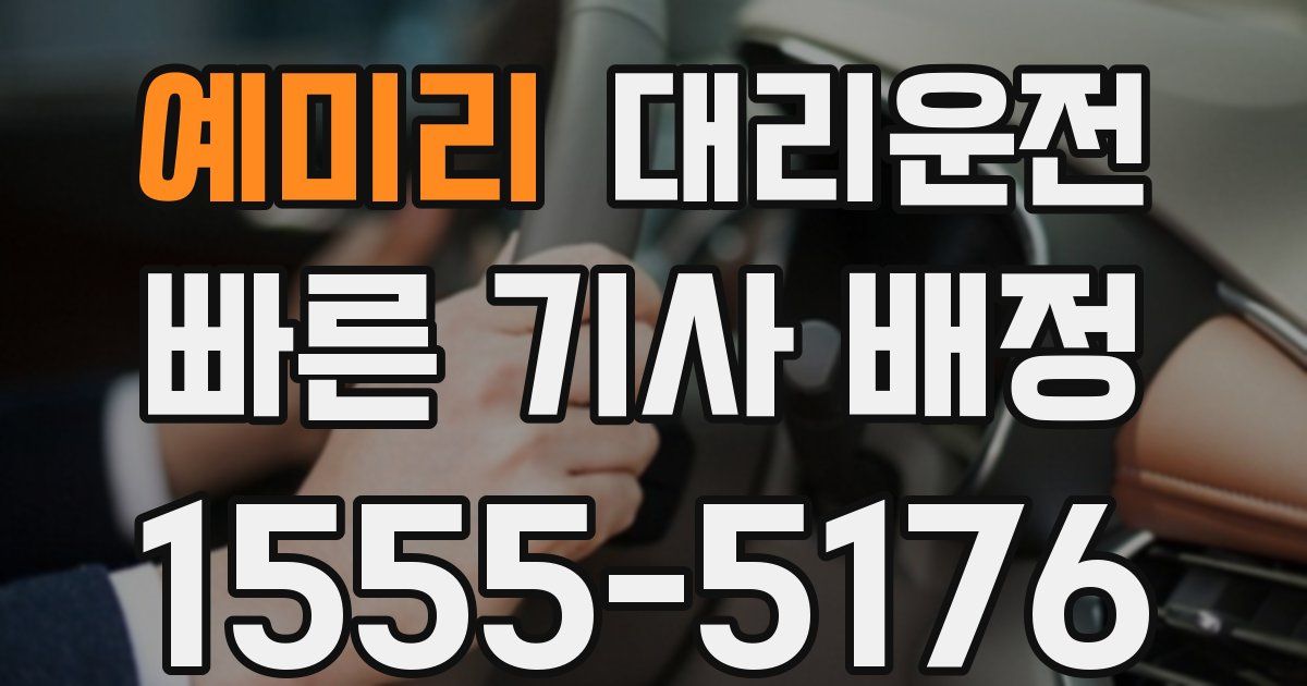 일일대리기사