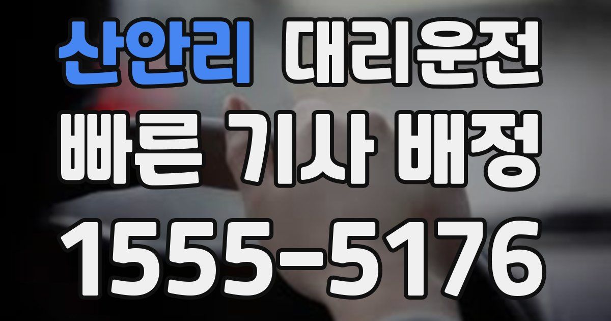 일일대리기사